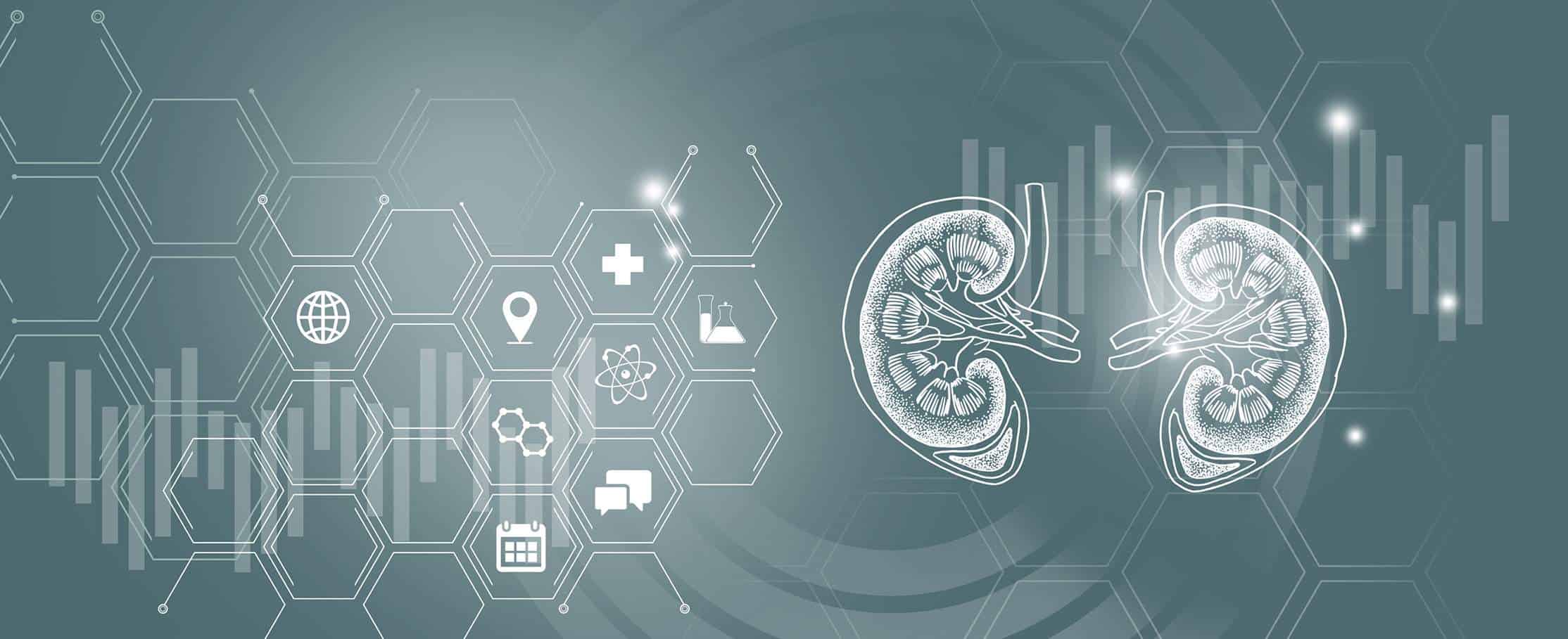 illustrated kidneys and medical icons